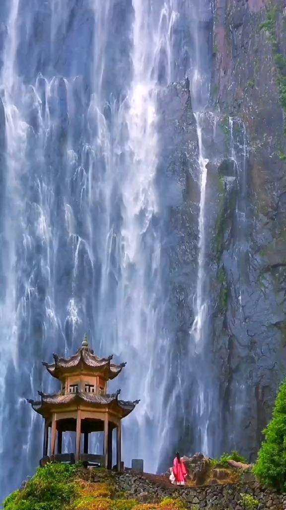 超能动物联盟